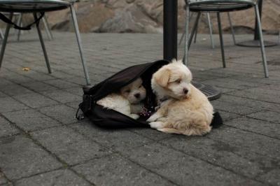 Oct4_04_628.JPG