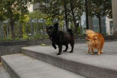 Oct4_04_664.JPG