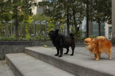 Oct4_04_669.JPG