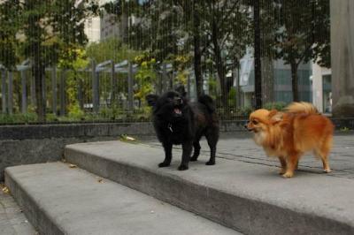 Oct4_04_671.JPG