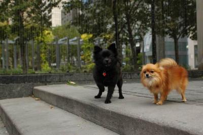 Oct4_04_676.JPG