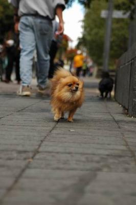 Oct4a_04_001.JPG