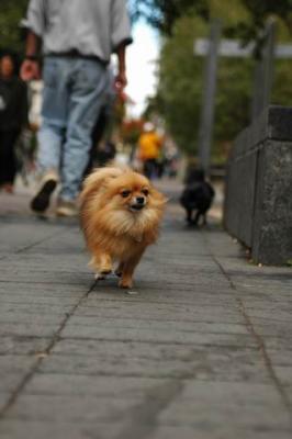Oct4a_04_002.JPG