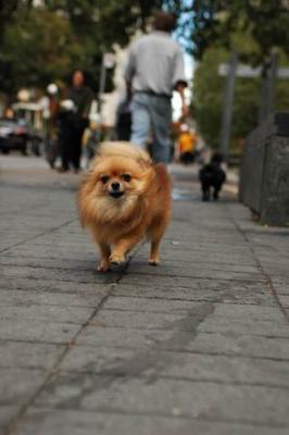 Oct4a_04_004.JPG