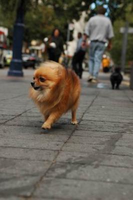 Oct4a_04_005.JPG