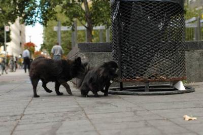 Oct4a_04_009.JPG