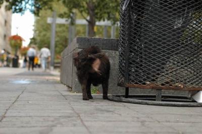 Oct4a_04_017.JPG