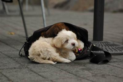 Oct4a_04_045.JPG