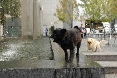 Oct4a_04_051.JPG