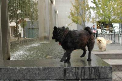 Oct4a_04_052.JPG