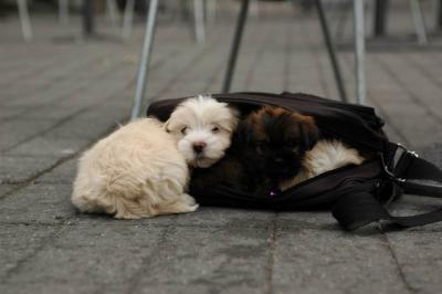 Oct4a_04_055.JPG