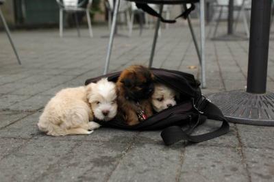 Oct4a_04_067.JPG