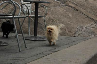 Oct4a_04_117.JPG