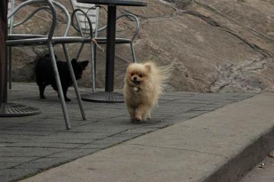Oct4a_04_118.JPG