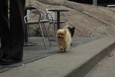 Oct4a_04_120.JPG