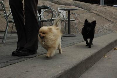 Oct4a_04_122.JPG