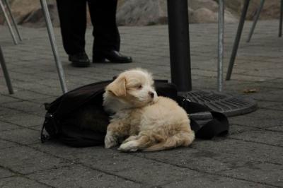 Oct4a_04_126.JPG