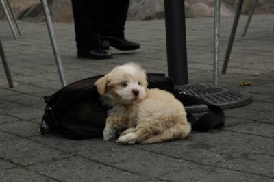 Oct4a_04_127.JPG
