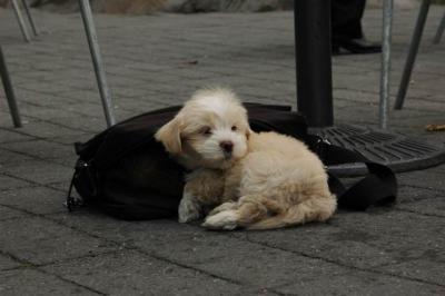 Oct4a_04_128.JPG