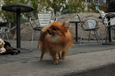 Oct4a_04_147.JPG