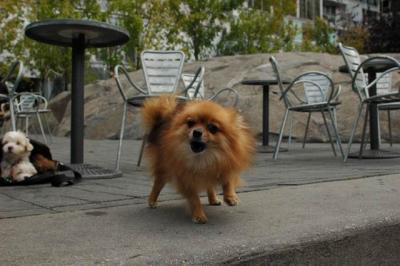 Oct4a_04_148.JPG