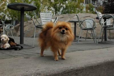 Oct4a_04_149.JPG