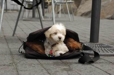 Oct4a_04_159.JPG