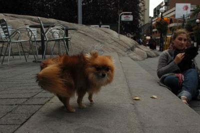 Oct4a_04_220.JPG