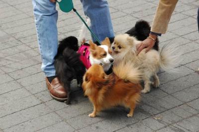 Oct4a_04_257.JPG