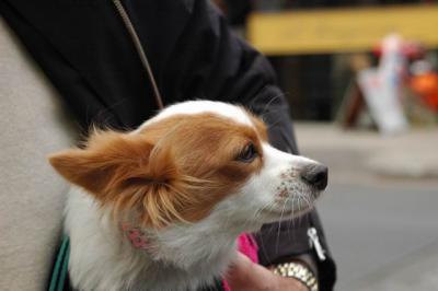 Oct4a_04_277.JPG