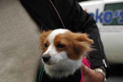 Oct4a_04_278.JPG