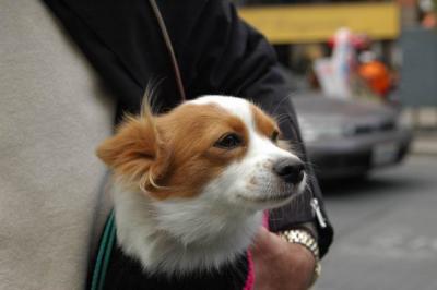Oct4a_04_280.JPG