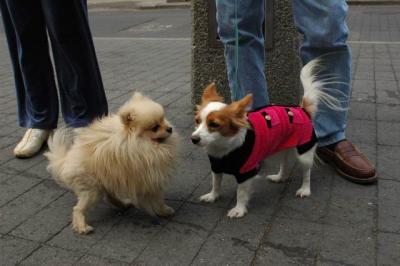 Oct4a_04_289.JPG