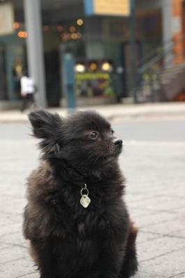 Oct4a_04_329.JPG