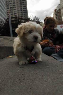 Oct4a_04_330.JPG