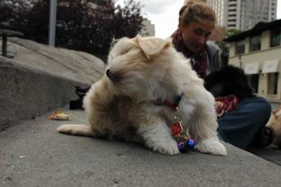 Oct4a_04_335.JPG
