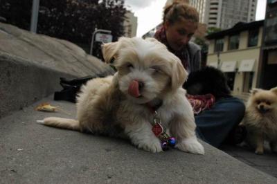 Oct4a_04_339.JPG