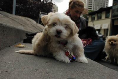 Oct4a_04_340.JPG