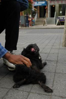 Oct4a_04_410.JPG