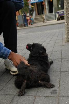 Oct4a_04_418.JPG