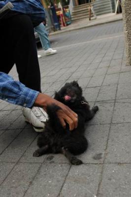 Oct4a_04_425.JPG