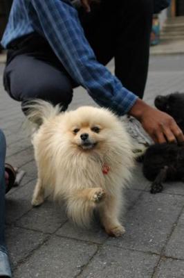 Oct4a_04_442.JPG