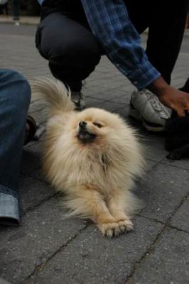 Oct4a_04_450.JPG