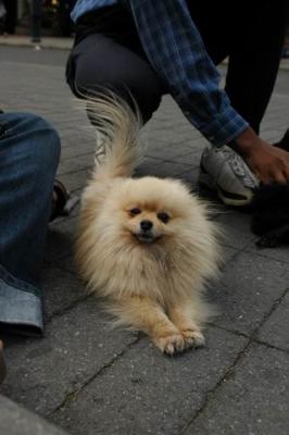 Oct4a_04_452.JPG