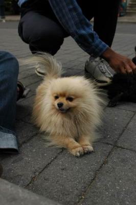 Oct4a_04_455.JPG