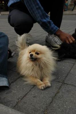 Oct4a_04_456.JPG