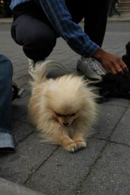 Oct4a_04_458.JPG