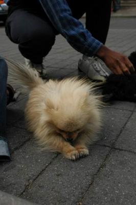 Oct4a_04_459.JPG