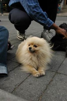 Oct4a_04_464.JPG