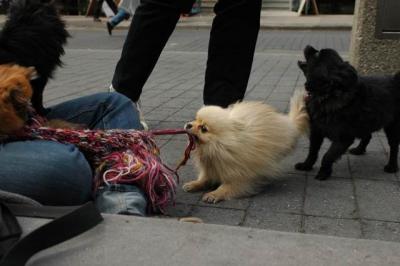 Oct4a_04_468.JPG